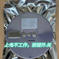 閃燈IC，語音IC，單片機(jī)開發(fā)